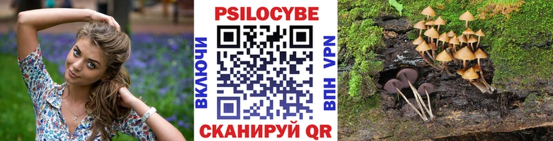 Псилоцибиновые грибы прущие грибы  Петрозаводск 